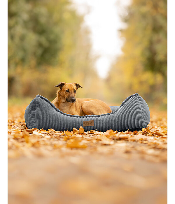 Dog Bed Cord