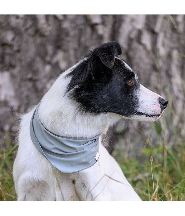 Cooling Scarf Frostie