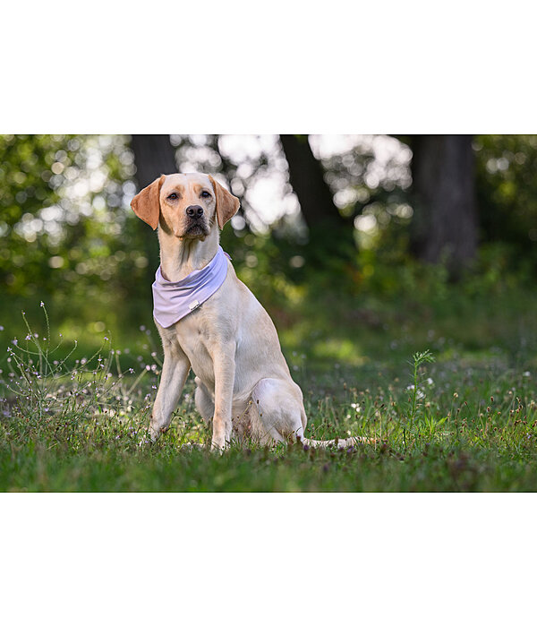 Cooling Scarf Frostie