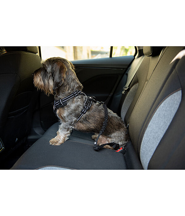 Seatbelt for Dogs