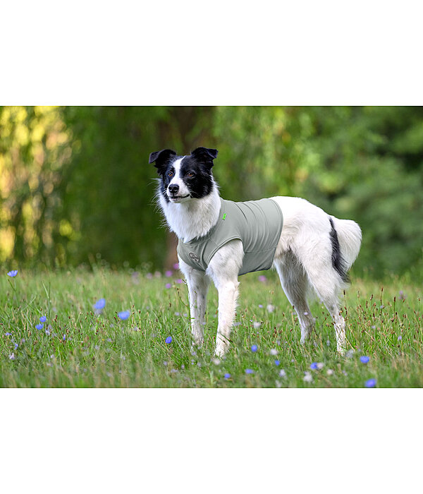 Cooling Shirt Frostie