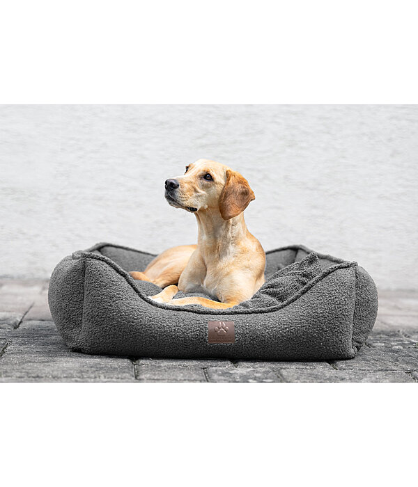 Dog Bed Square