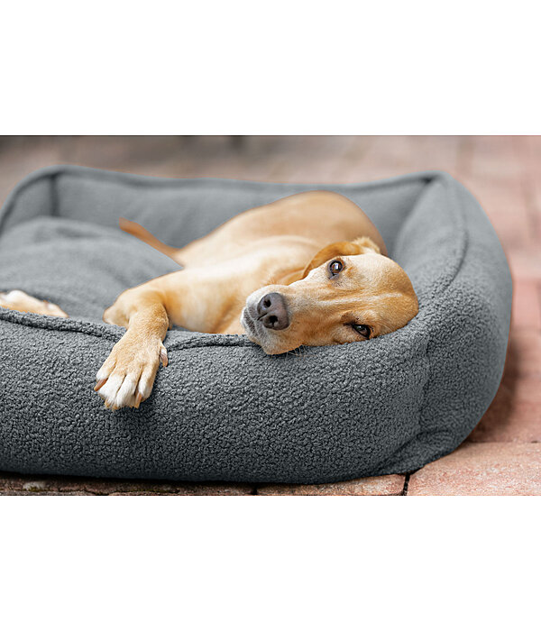 Dog Bed Square