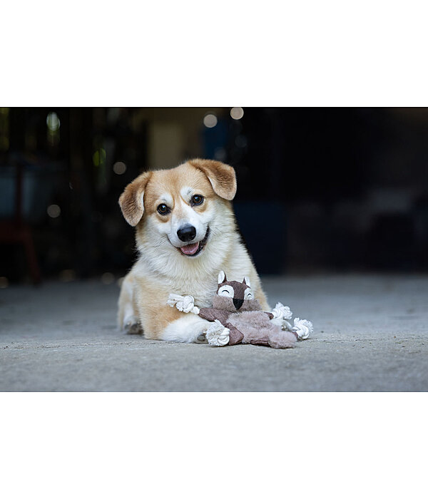 Dog Toy Squirrel