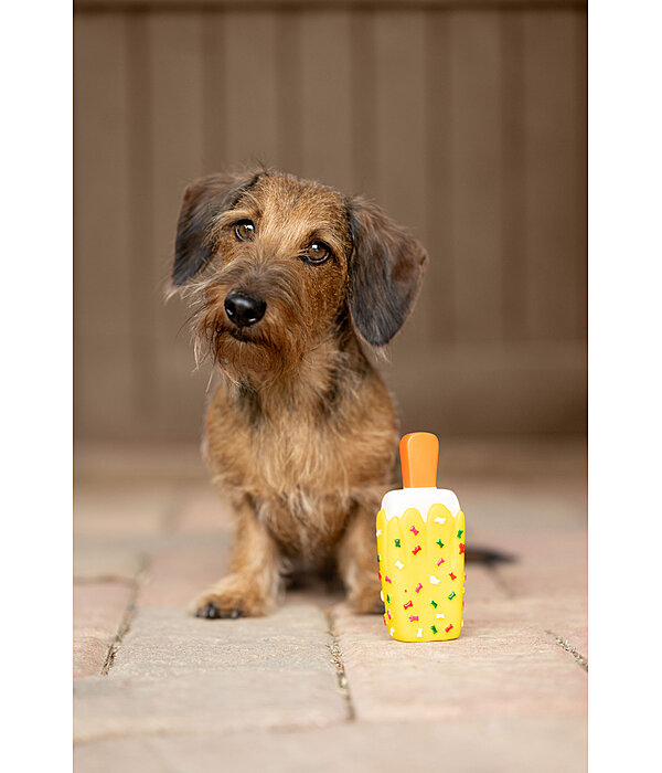 Squeaky Dog Toy Ice Lolly