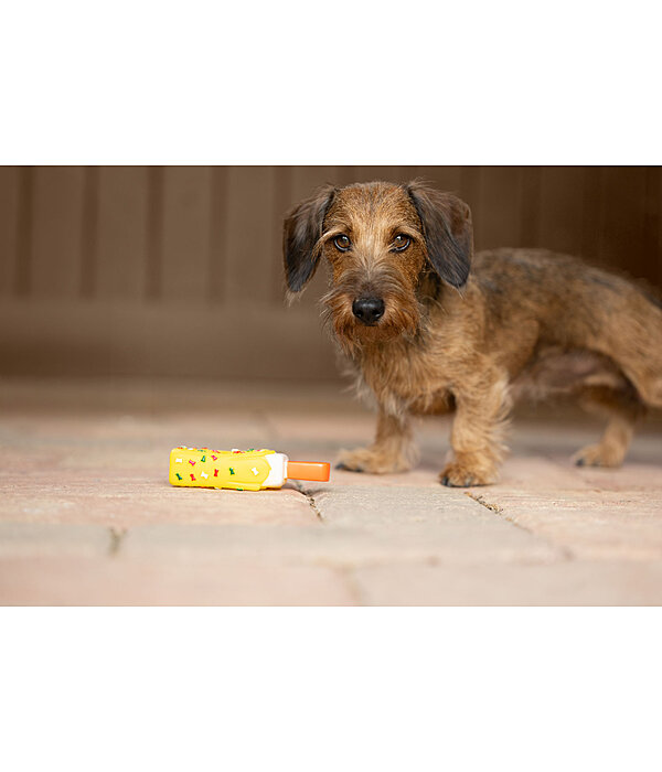 Squeaky Dog Toy Ice Lolly