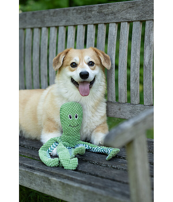 Dog Toy Octopus