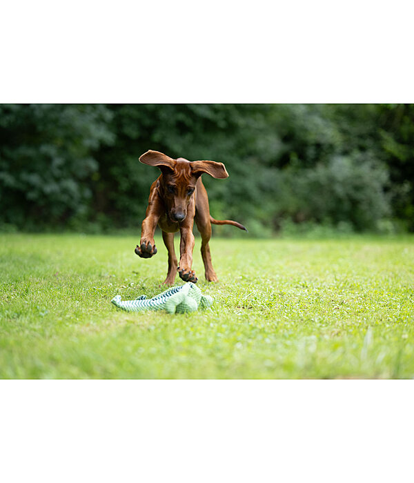 Dog Toy Octopus