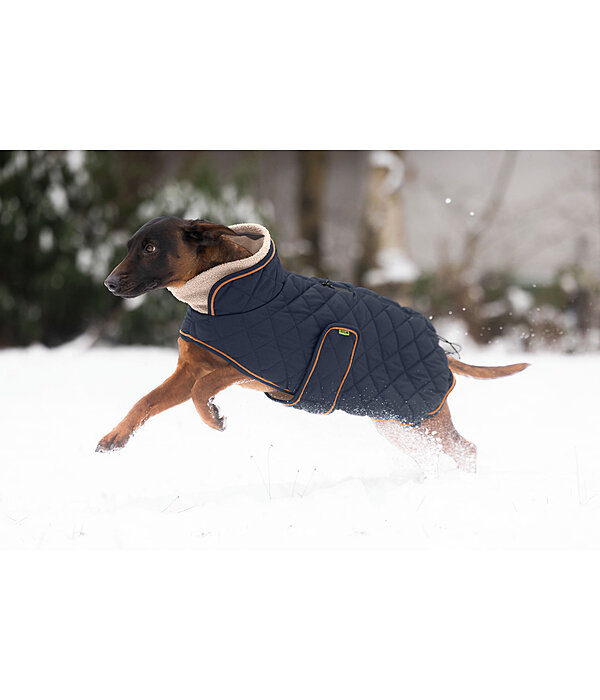 Quilted Dog Coat with Teddy Fleece Lining Holly