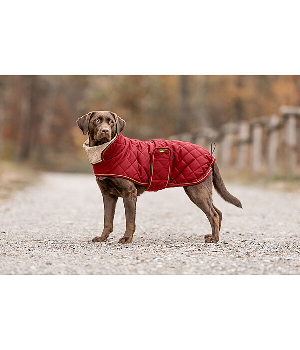Quilted Dog Coat with Teddy Fleece Lining Holly