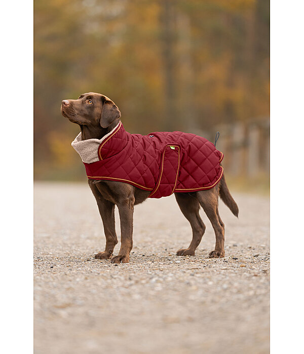 Quilted Dog Coat with Teddy Fleece Lining Holly