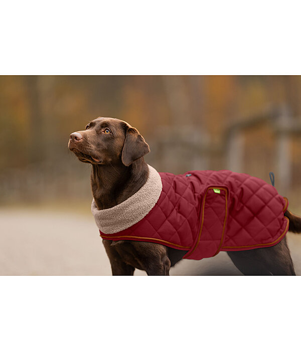 Quilted Dog Coat with Teddy Fleece Lining Holly