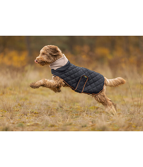 Quilted Dog Coat with Teddy Fleece Lining Holly