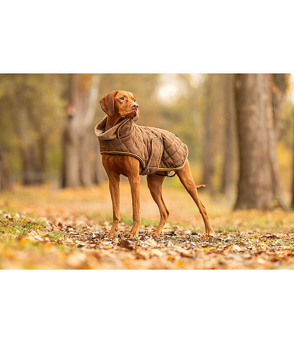 Quilted Dog Coat with Teddy Fleece Lining Holly