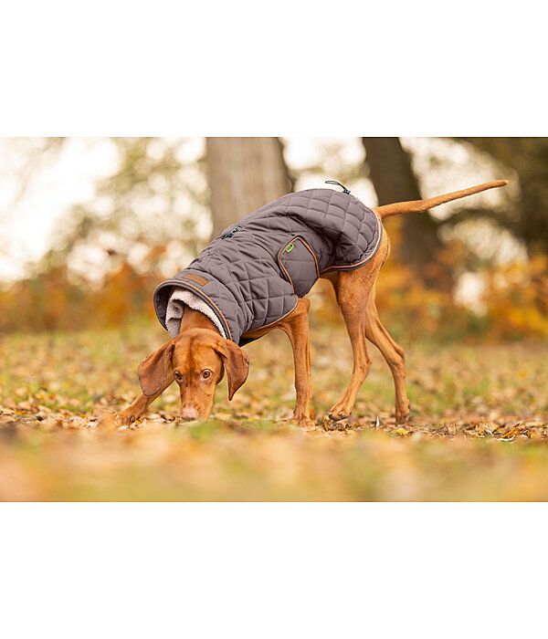Quilted Dog Coat with Teddy Fleece Lining Holly