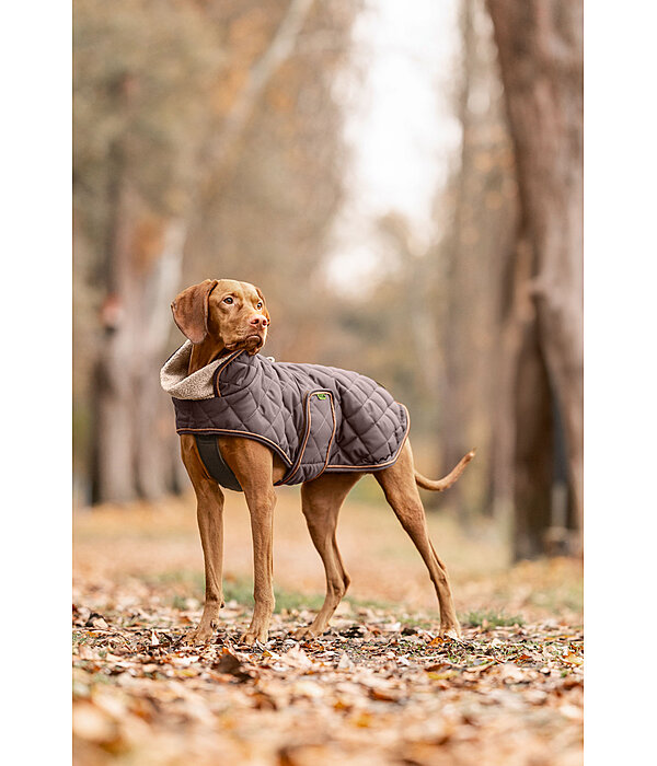 Quilted Dog Coat with Teddy Fleece Lining Holly