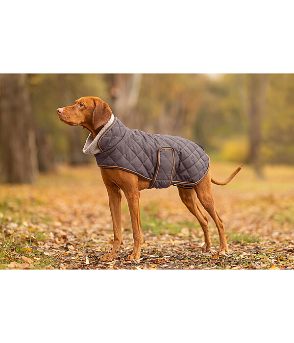 Quilted Dog Coat with Teddy Fleece Lining Holly