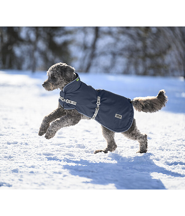 Dog Coat with Liner System Northwood
