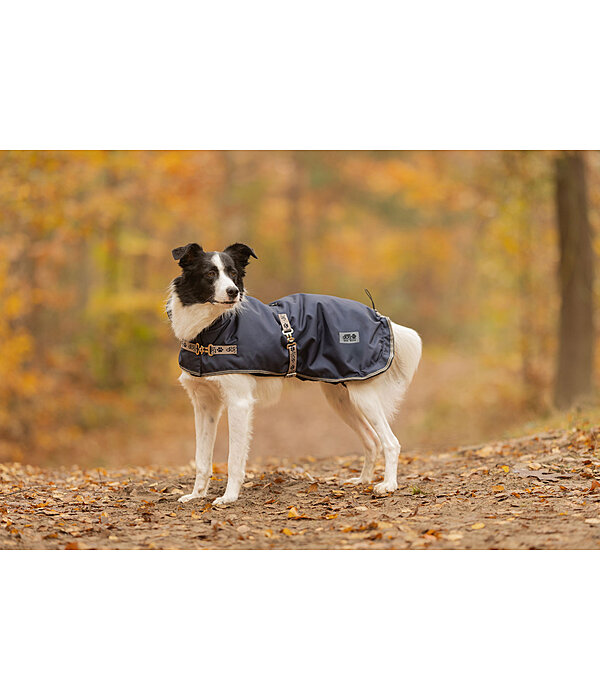Dog Coat with Liner System Northwood