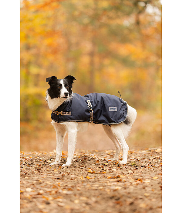 Dog Coat with Liner System Northwood