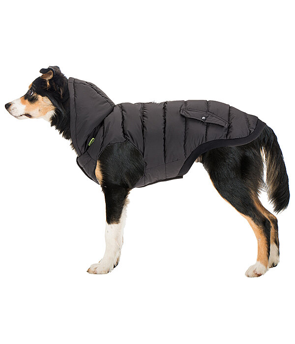 Lightweight Thermal Dog Jacket Anton