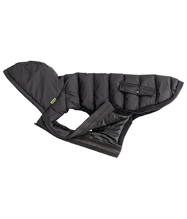 Lightweight Thermal Dog Jacket Anton