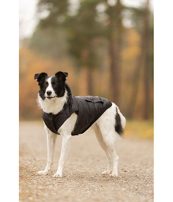 Lightweight Thermal Dog Jacket Anton
