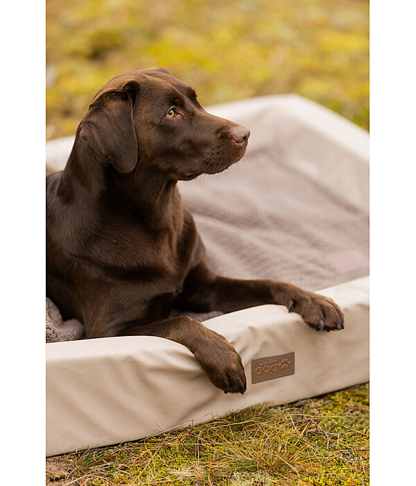 Dog Bed Komet
