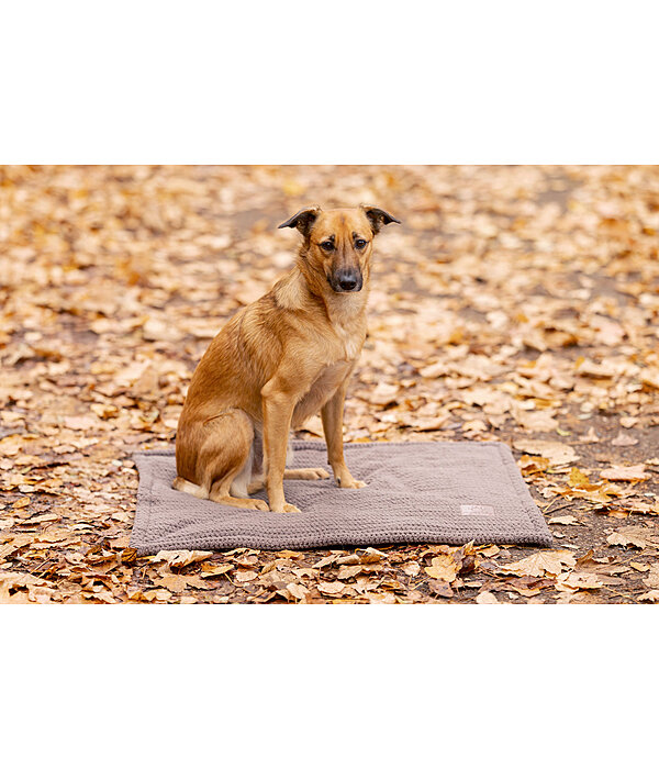 Cuddly Dog Mat Kobe