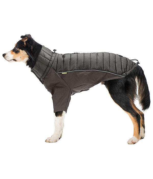 Performance Stretch Combination Dog Coat Baldo, 160g