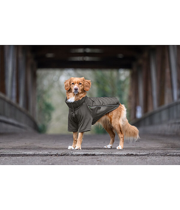 Performance Stretch Combination Dog Coat Baldo, 160g