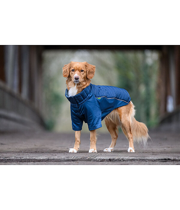Performance Stretch Combination Dog Coat Baldo, 160g