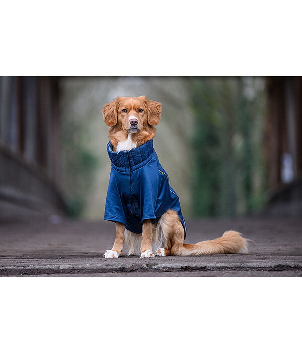 Performance Stretch Combination Dog Coat Baldo, 160g