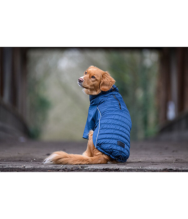 Performance Stretch Combination Dog Coat Baldo, 160g