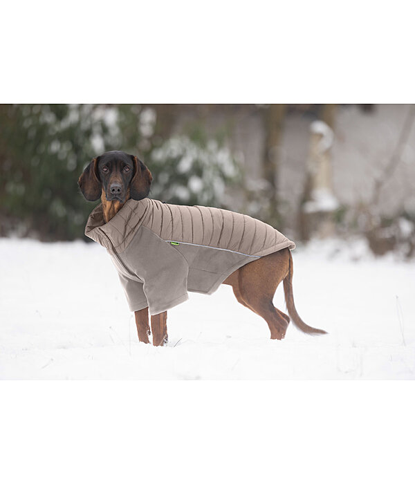 Performance Stretch Combination Dog Coat Baldo, 160g