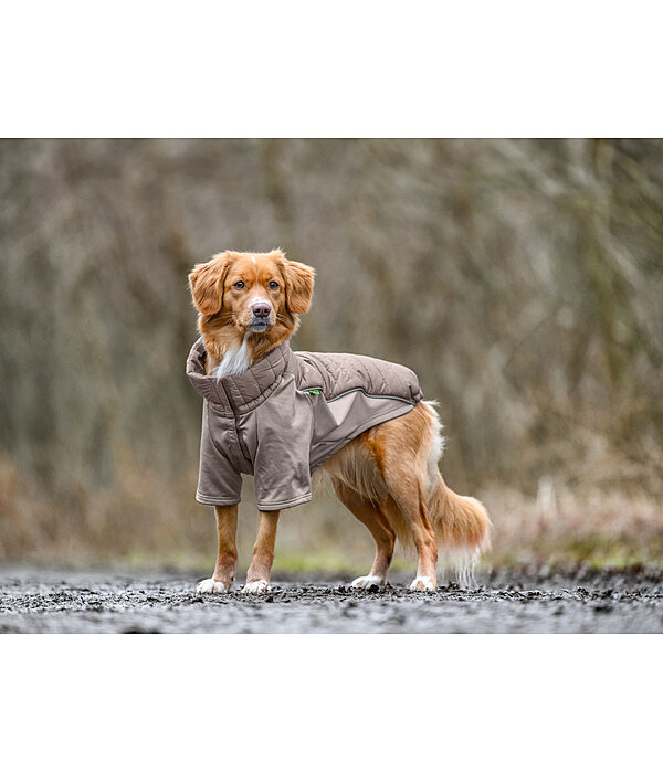 Performance Stretch Combination Dog Coat Baldo, 160g