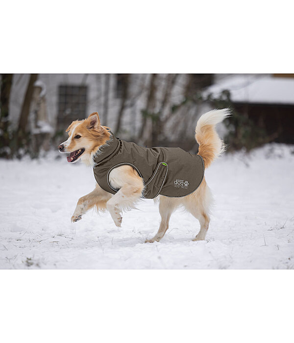Thermal Dog Coat Archie Snow Drift, 200g