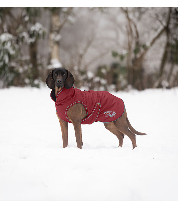 Thermal Dog Coat Archie Snow Drift, 200g