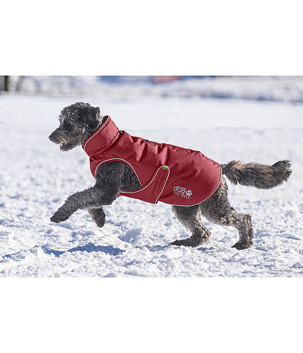 Thermal Dog Coat Archie Snow Drift, 200g