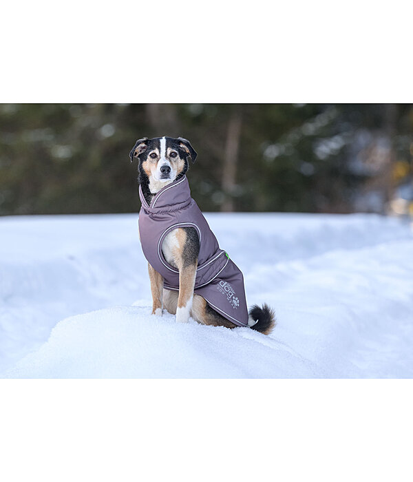 Thermal Dog Coat Archie Snow Drift, 200g