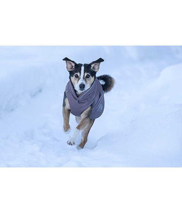Thermal Dog Coat Archie Snow Drift, 200g