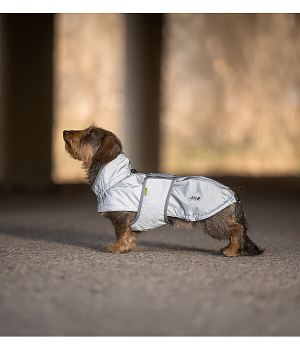 Dachshund Hi-Vis Coat George with Fleece Lining