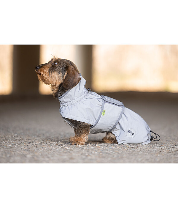 Dachshund Hi-Vis Coat George with Fleece Lining