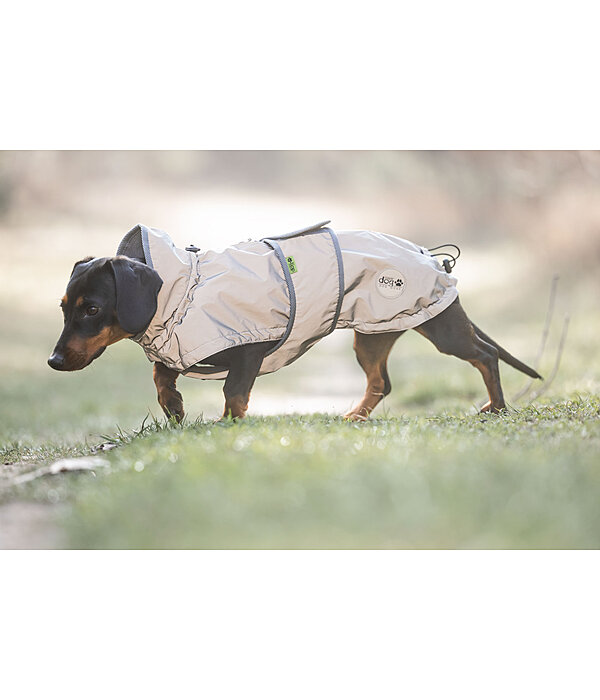 Dachshund Hi-Vis Coat George with Fleece Lining