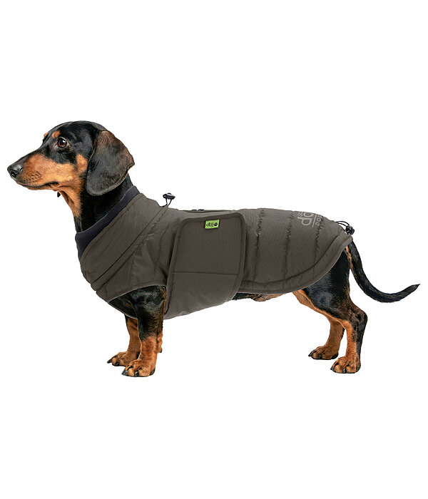 Dachshund Winter Coat Henry, 200g