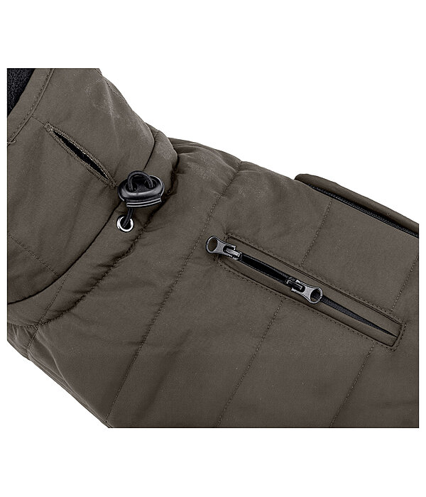 Dachshund Winter Coat Henry, 200g