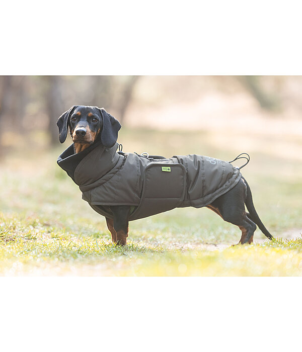 Dachshund Winter Coat Henry, 200g