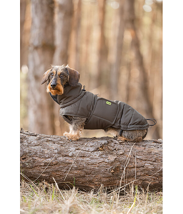 Dachshund Winter Coat Henry, 200g