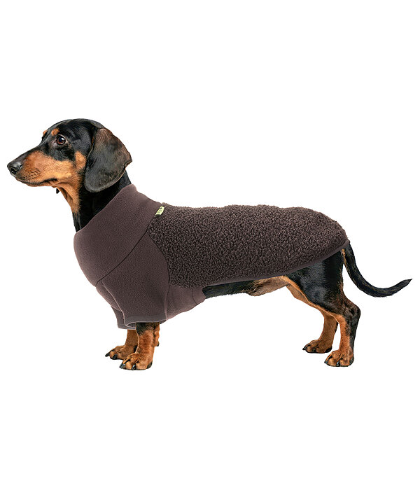 Dachshund Fleece Jumper Edward