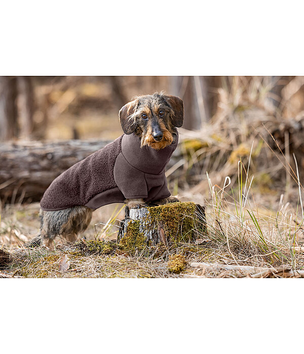 Dachshund Fleece Jumper Edward